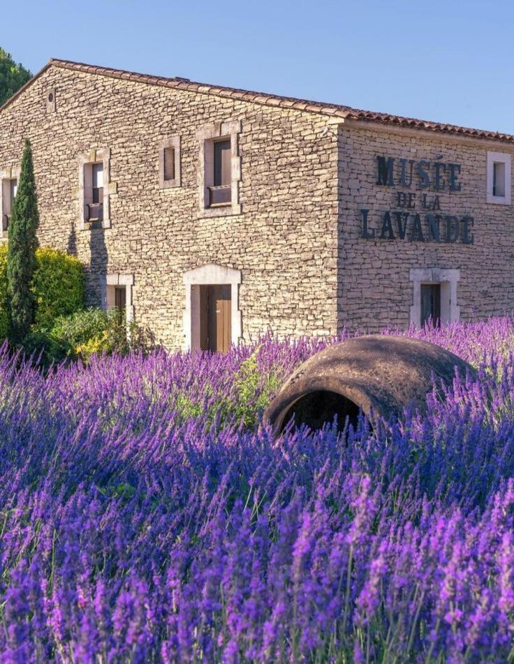 Mas Armelin Bed & Breakfast Tarascon Dış mekan fotoğraf