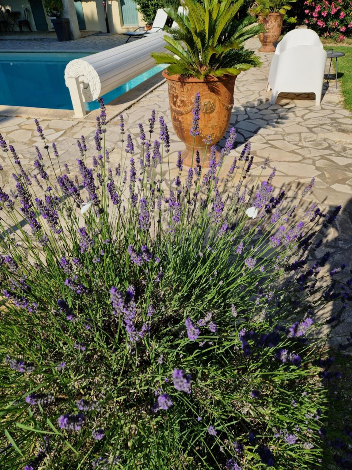 Mas Armelin Bed & Breakfast Tarascon Dış mekan fotoğraf