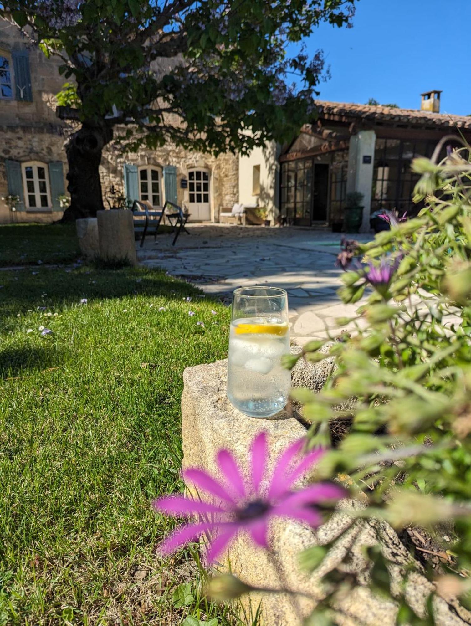 Mas Armelin Bed & Breakfast Tarascon Dış mekan fotoğraf