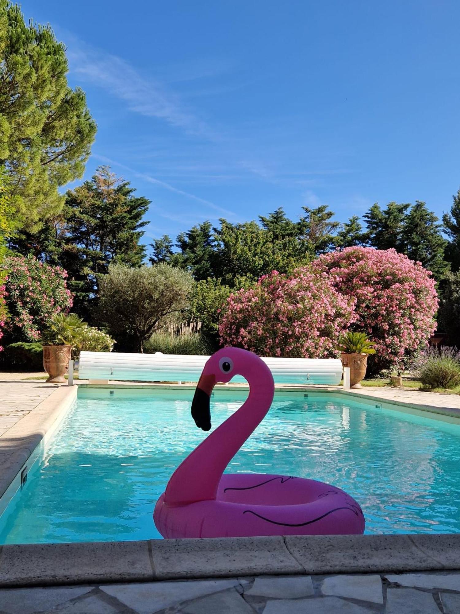 Mas Armelin Bed & Breakfast Tarascon Dış mekan fotoğraf