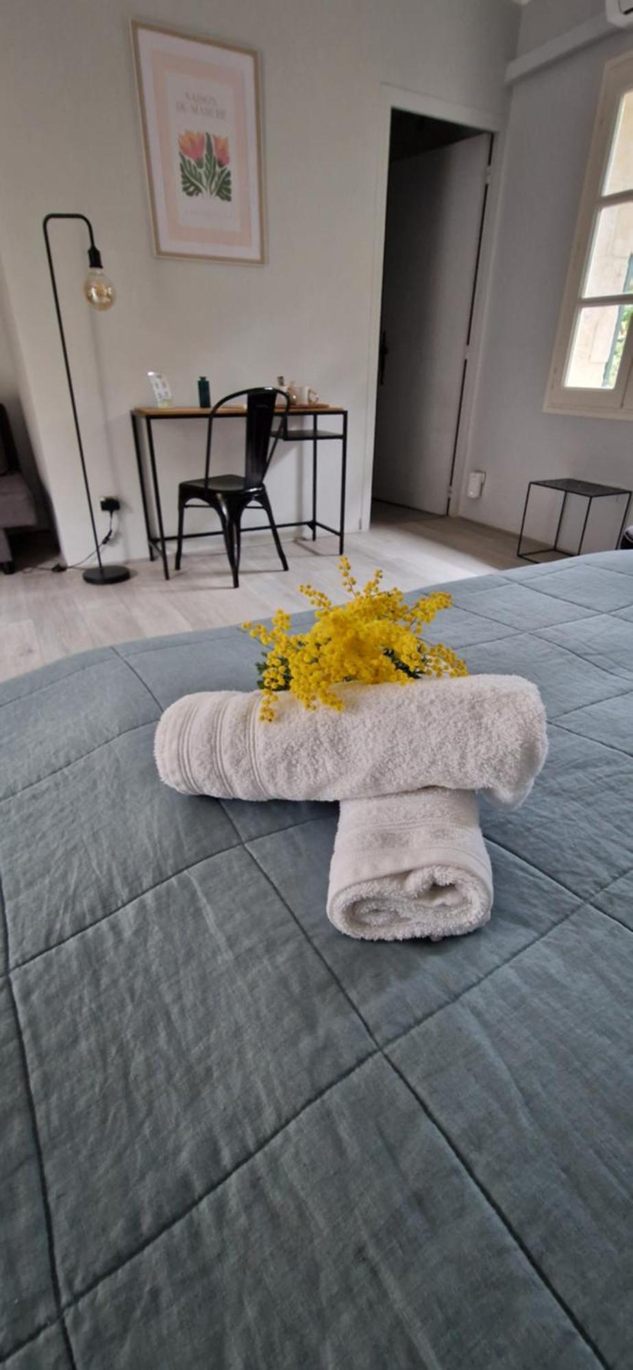 Mas Armelin Bed & Breakfast Tarascon Oda fotoğraf